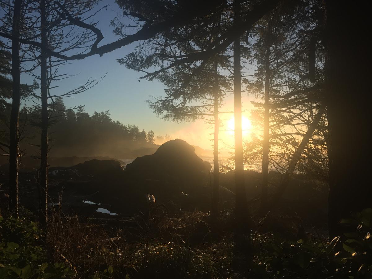 The Francis Boutique Inn Ucluelet Exterior foto